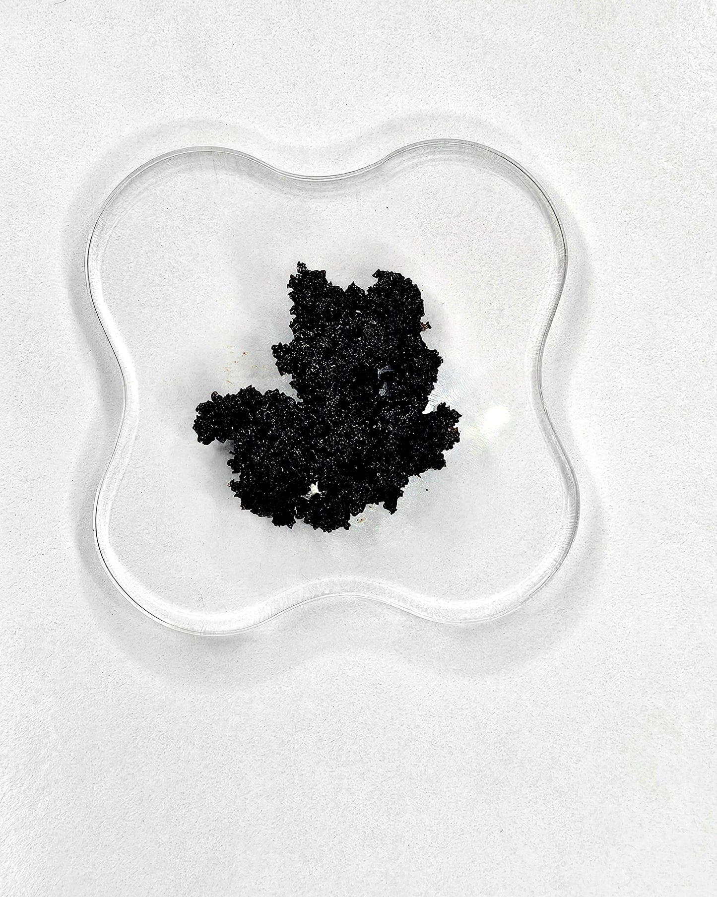 Body Scrub
